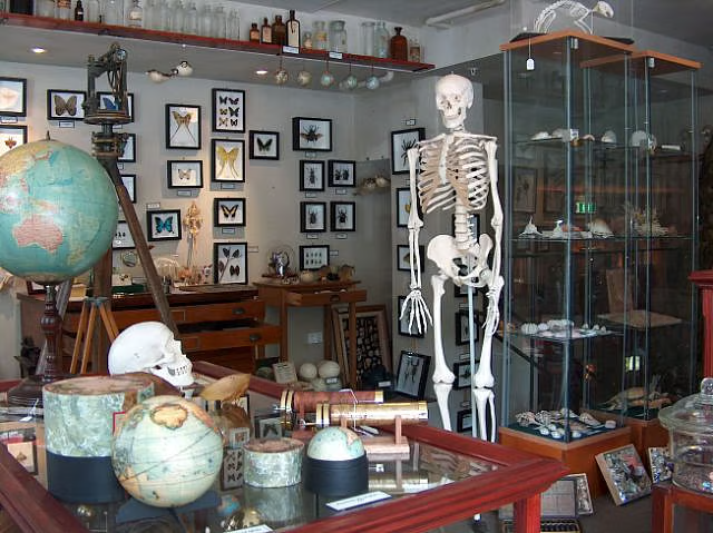 Career Growth Advice